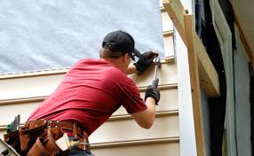 Best Fascia and Soffit Installation  in Darien, WI